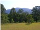 Lot 3 Newpark Road, Brogo NSW 2550