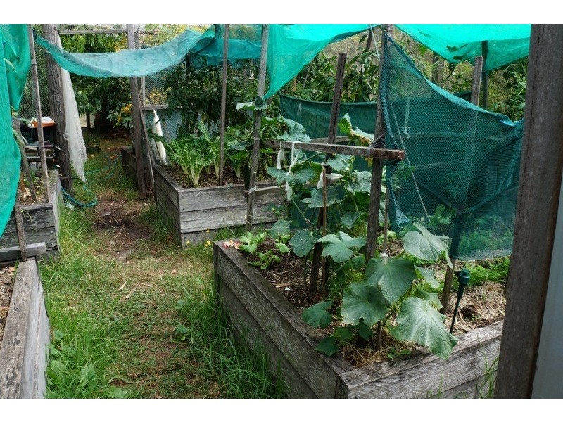 1084 Nethercote Road, Nethercote NSW 2549