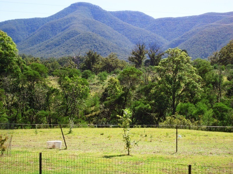 501 Yankees Gap Rd, Bemboka NSW 2550