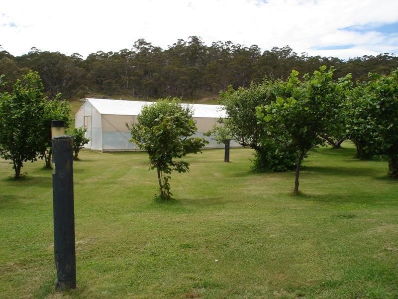 Lot 6 Creewah Road, Cathcart NSW 2632