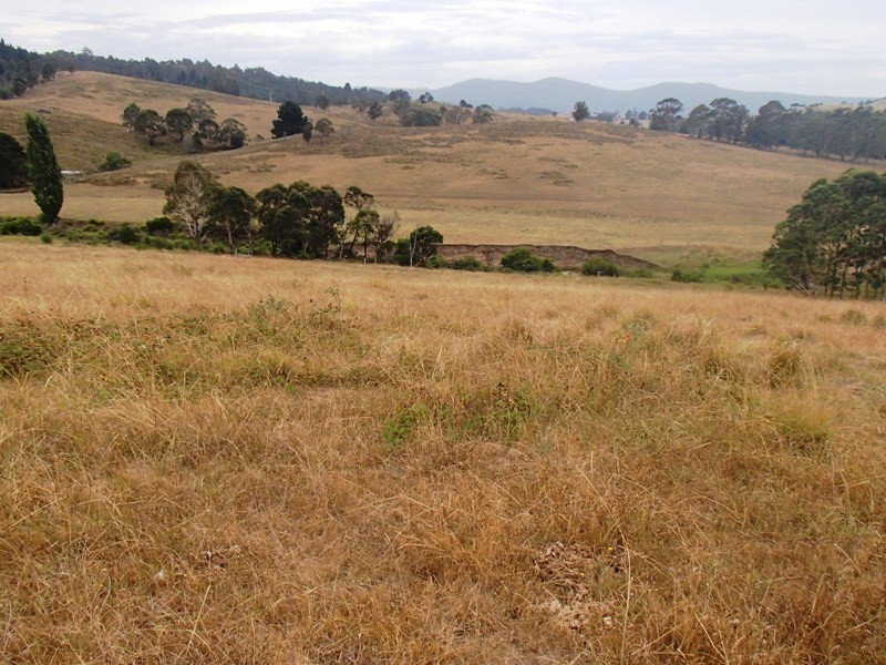Lots 41 & 42 Mt Darragh Road, Wyndham NSW 2550