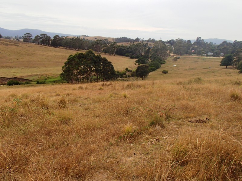 Lots 41 & 42 Mt Darragh Road, Wyndham NSW 2550