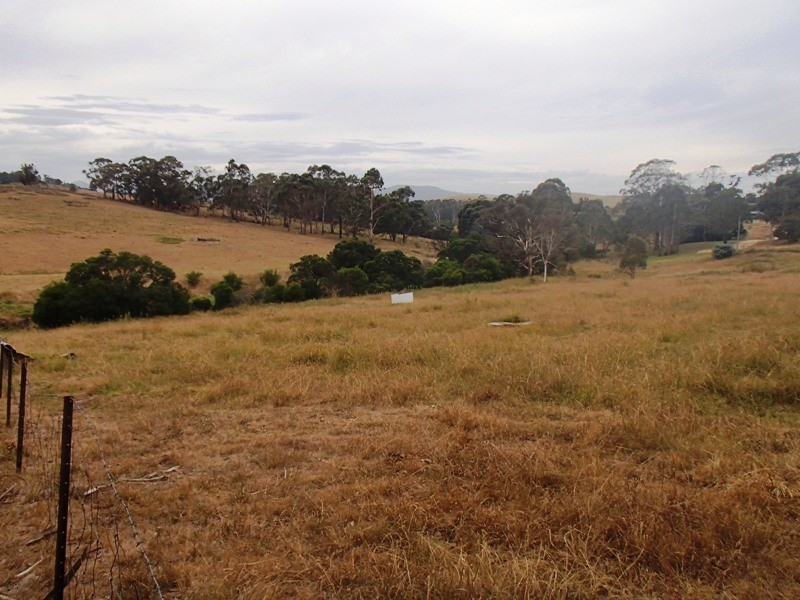 Lots 41 & 42 Mt Darragh Road, Wyndham NSW 2550
