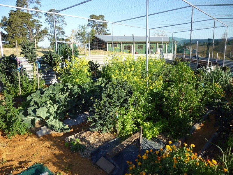 Lot 11 Moons Road, Bemboka NSW 2550