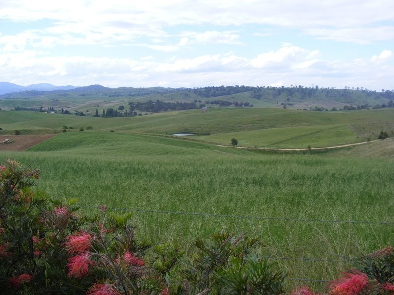 529 Wyndham Lane, Kanoona NSW 2550