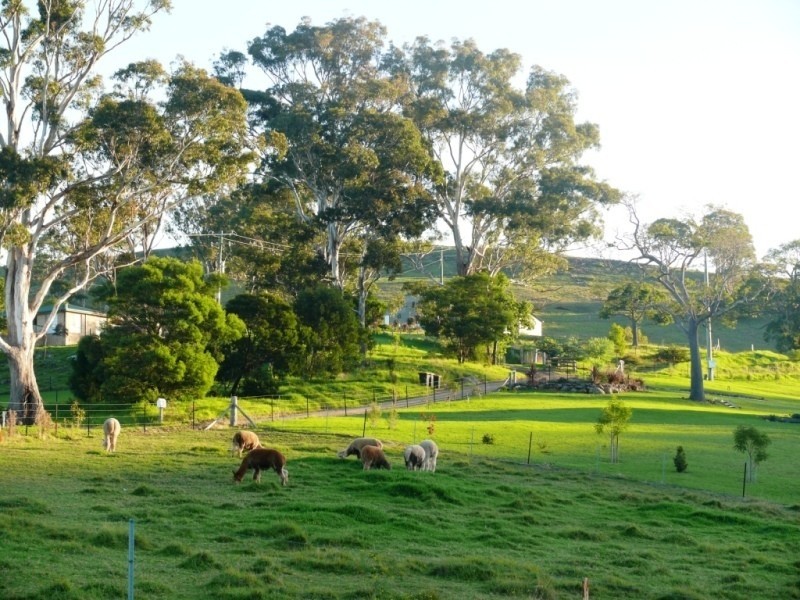 354 Bald Hills Road, Bald Hills NSW 2549