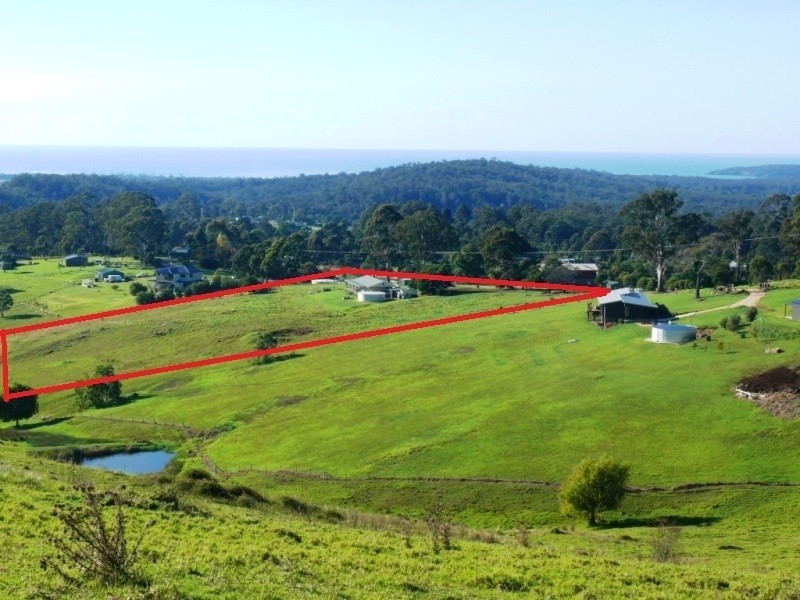 354 Bald Hills Road, Bald Hills NSW 2549