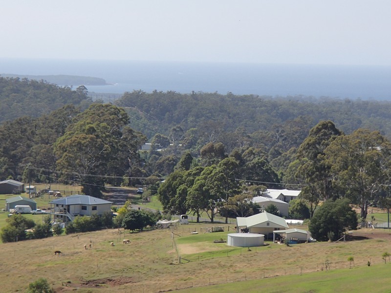 354 Bald Hills Road, Bald Hills NSW 2549