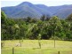 501  Yankees Gap rd, Bemboka NSW 2550