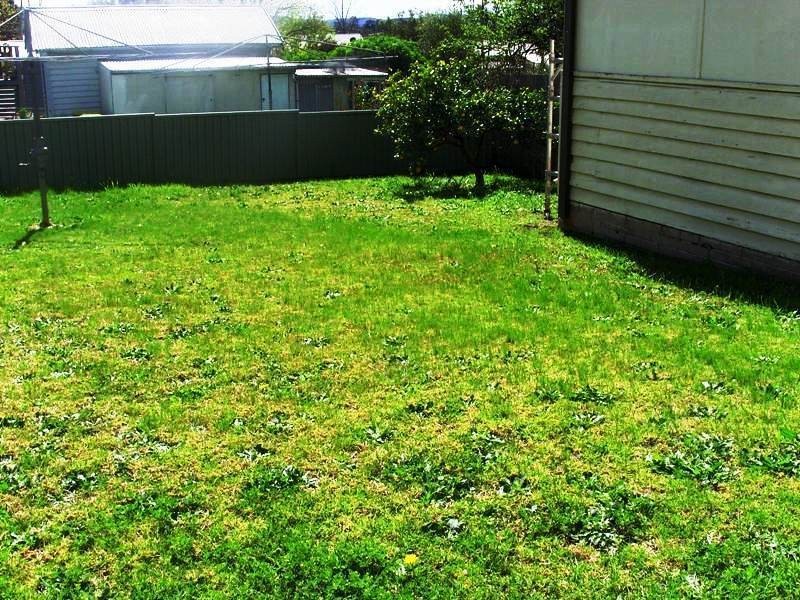 33 Carp St, Bega NSW 2550