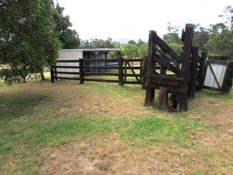 2020 Whipstick Lane, Mount Darragh Road, Wyndham NSW 2550