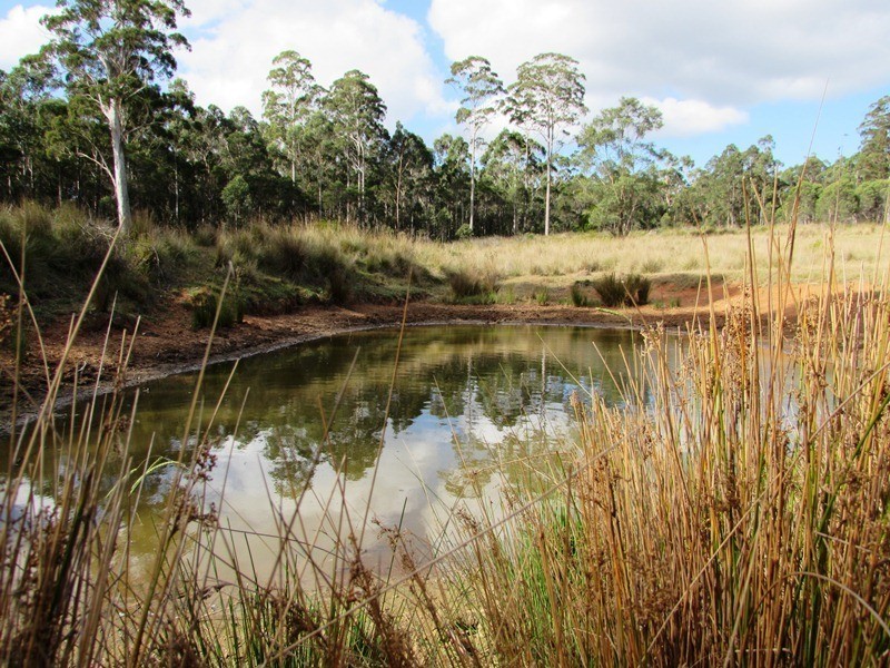 2020 Whipstick Lane, Mount Darragh Road, Wyndham NSW 2550