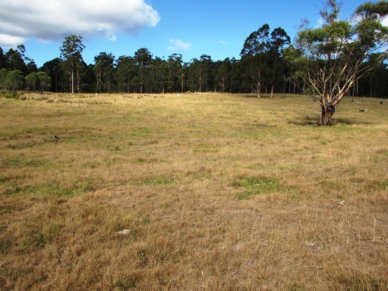 2020 Whipstick Lane, Mount Darragh Road, Wyndham NSW 2550