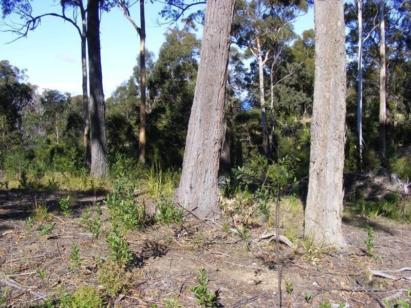 Lot 12 Emerald Crescent, Wallagoot NSW 2550