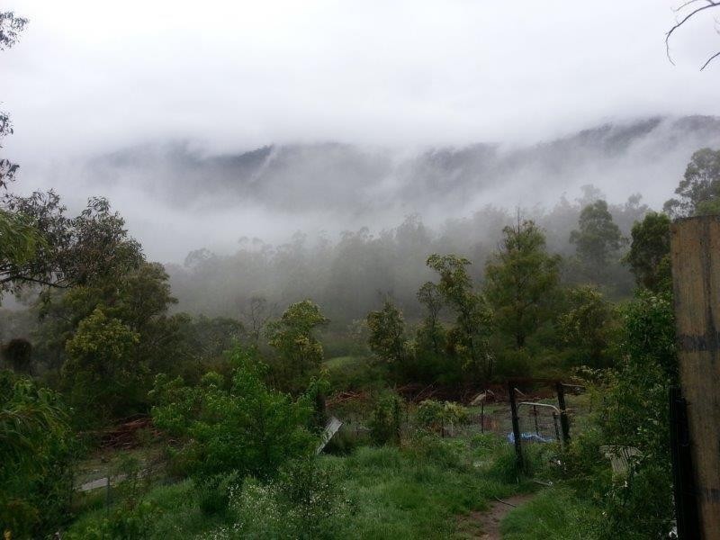 Lot 17 Cemetery Road, Rocky Hall NSW 2550