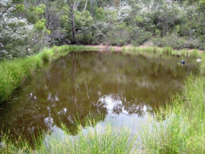 Lot 17 Cemetery Road, Rocky Hall NSW 2550