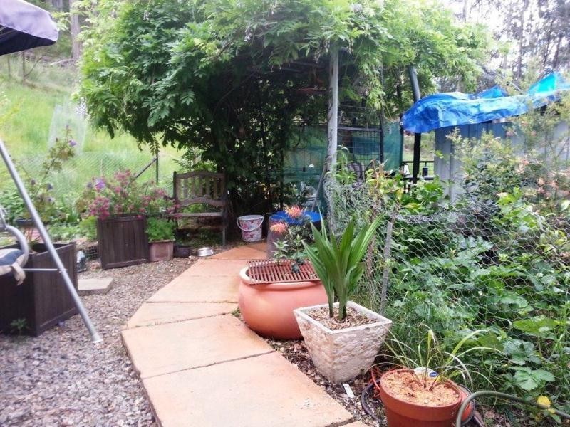 Lot 17 Cemetery Road, Rocky Hall NSW 2550