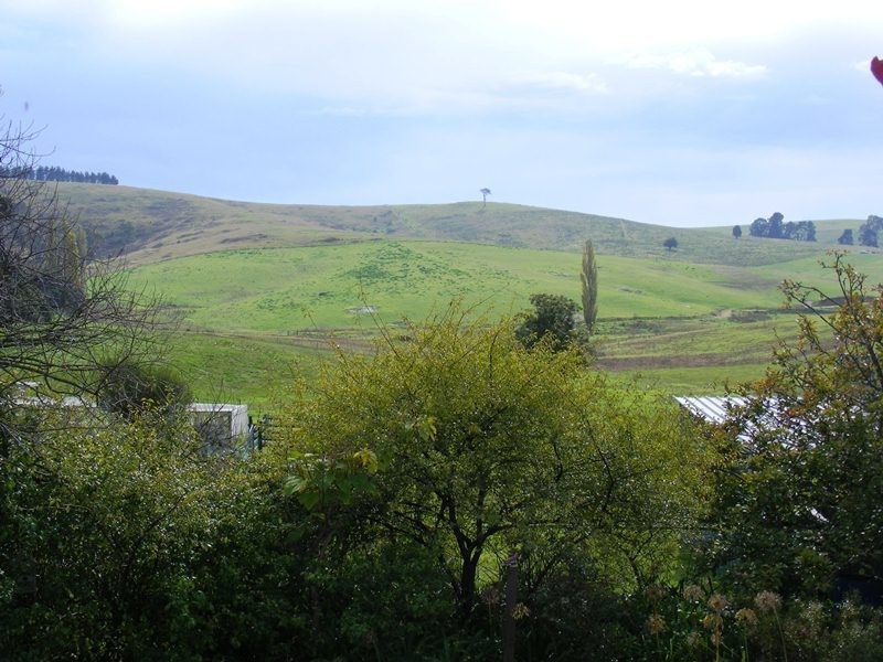 906  Candelo Wolumla Road, Toothdale NSW 2550