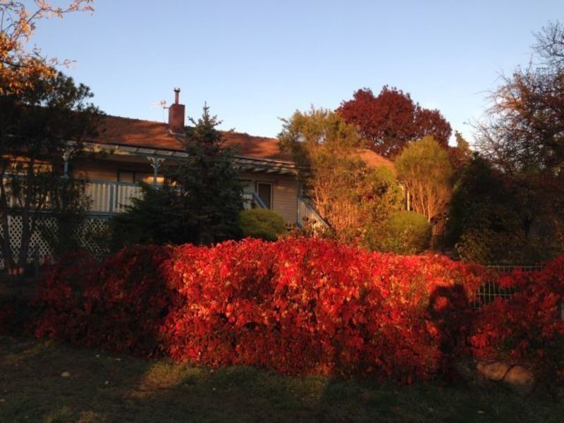 53 Orana Ave, Cooma NSW 2630