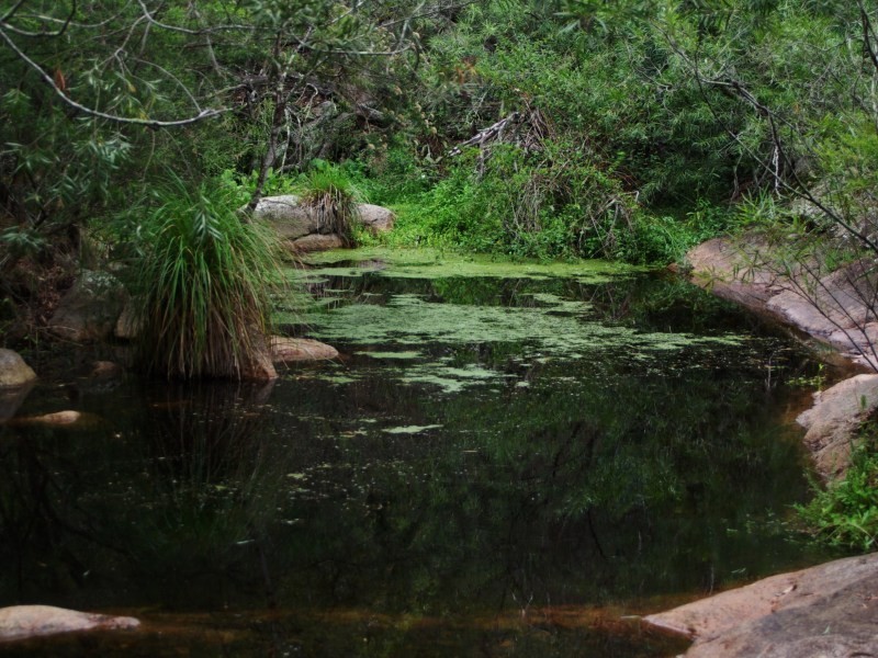 Lot 11 Moons Road, Bemboka NSW 2550