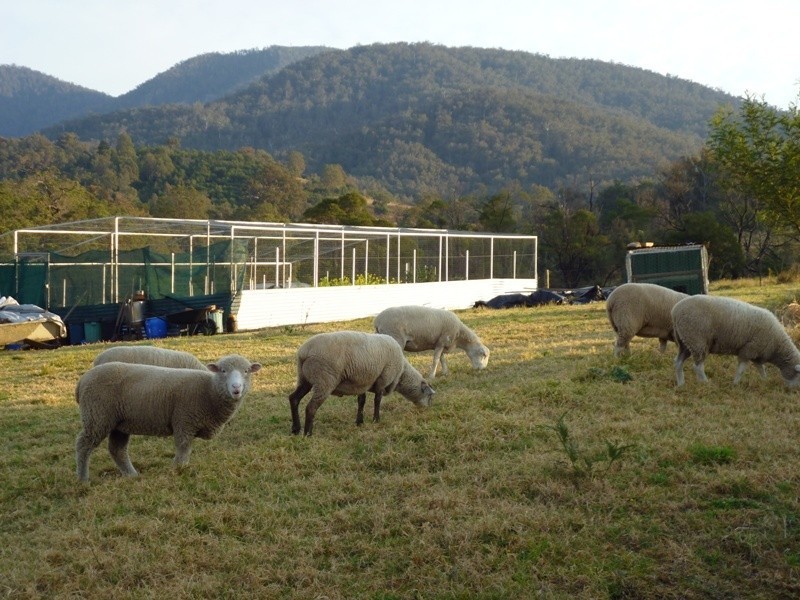 Lot 11 Moons Road, Bemboka NSW 2550