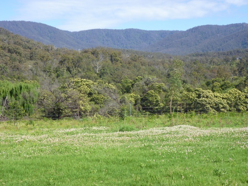 Lot 11 Moons Road, Bemboka NSW 2550