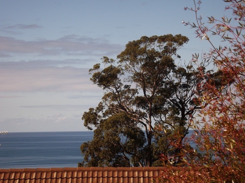 1/42 Golf Circuit, Tura Beach NSW 2548
