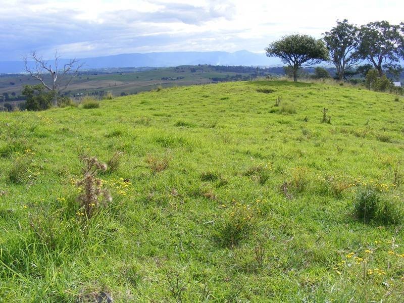 9 Slaters Lane, Candelo NSW 2550