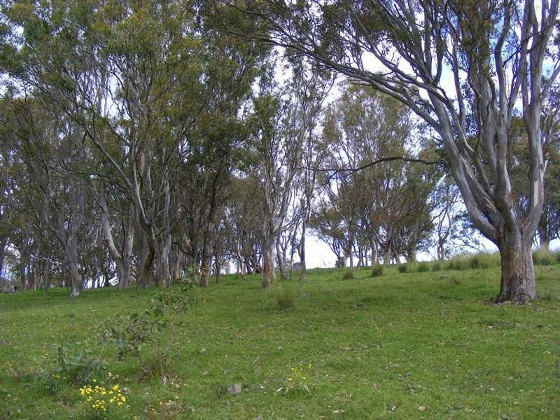 9 Slaters Lane, Candelo NSW 2550