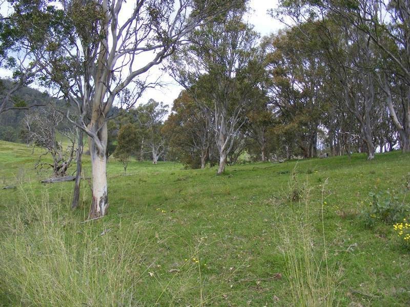 9 Slaters Lane, Candelo NSW 2550