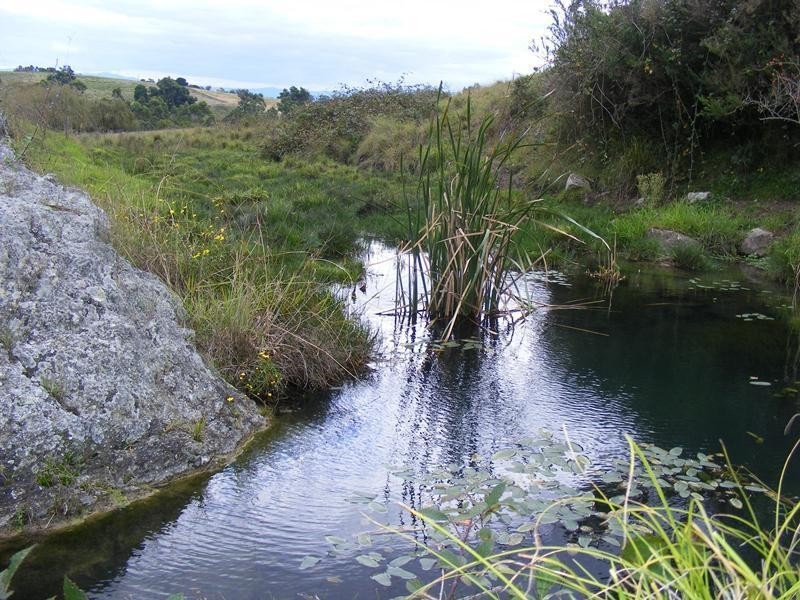 9 Slaters Lane, Candelo NSW 2550