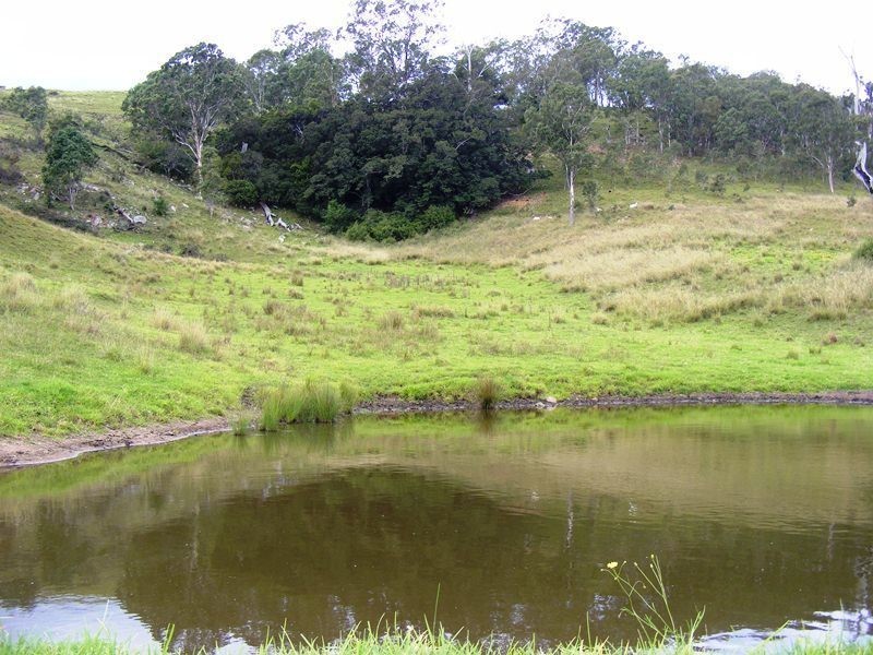 9 Slaters Lane, Candelo NSW 2550