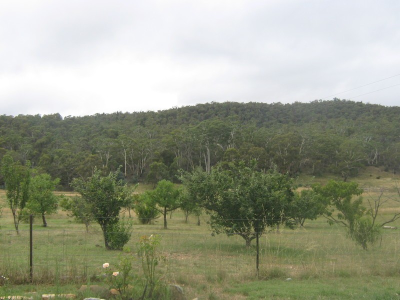 Lot 1 Collins Road, Numeralla NSW 2630