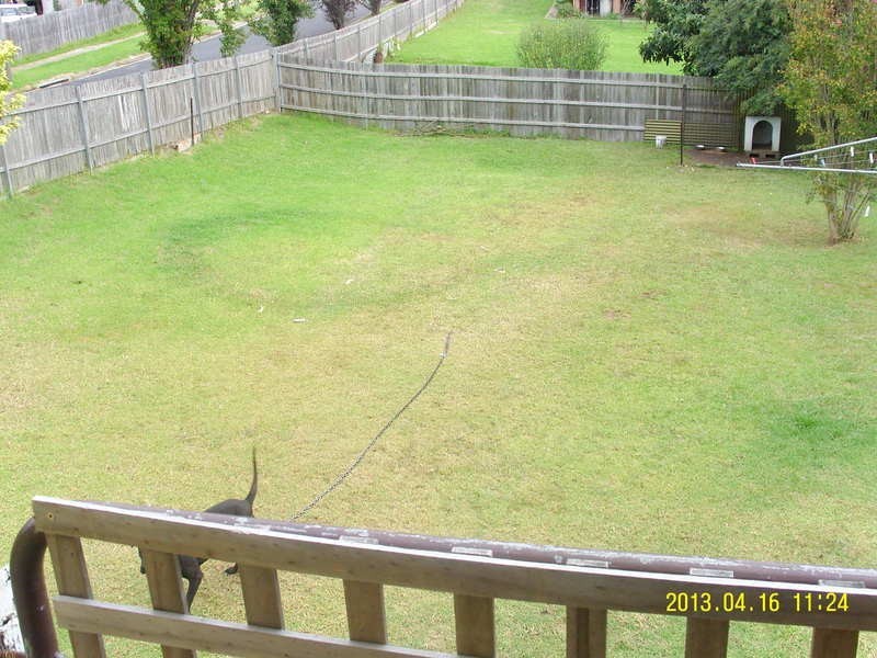 97 Ravenswood St, Bega NSW 2550