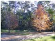 1053 Burragate Road, Wyndham NSW 2550