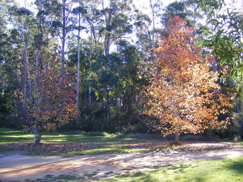 1053 Burragate Road, Wyndham NSW 2550