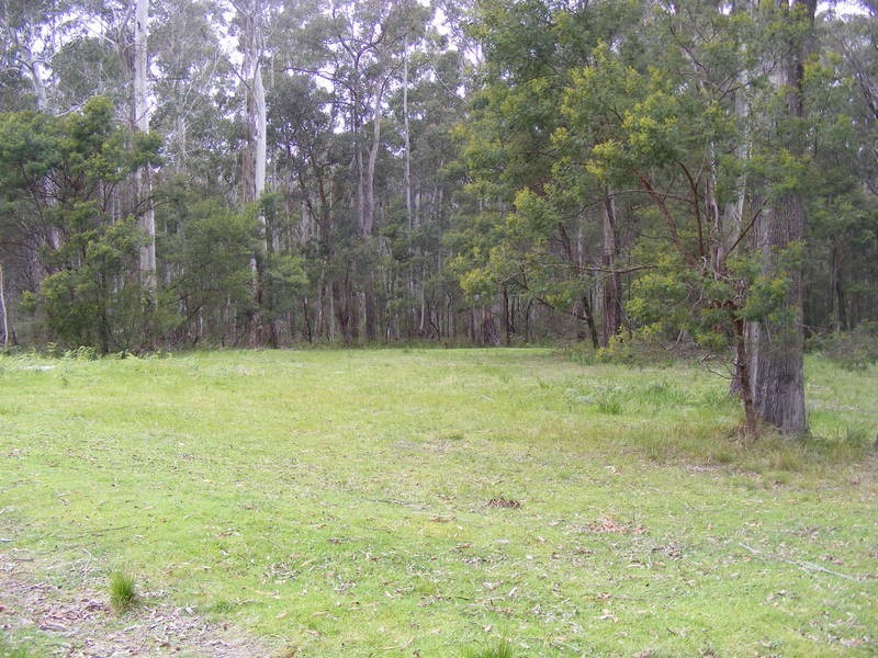 1053 Burragate Road, Wyndham NSW 2550