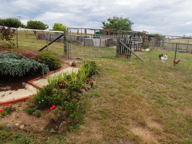 98 Tantawangalo Lane, Tantawangalo NSW 2550