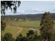 85 Jellat Way, Bega NSW 2550