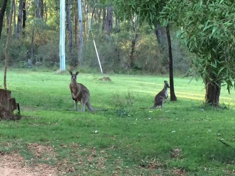 1053 Burragate Road, Wyndham NSW 2550