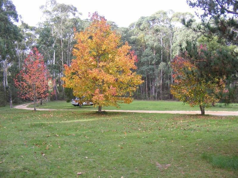 1053 Burragate Road, Wyndham NSW 2550