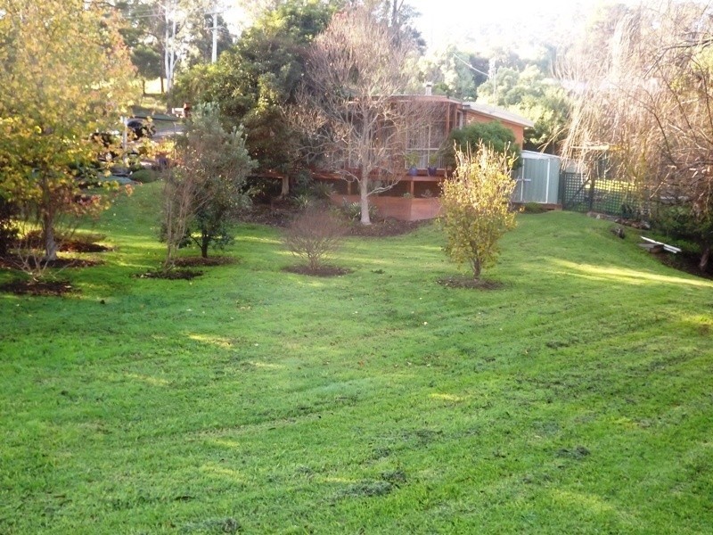 2a Bellbird Court, Wolumla NSW 2550