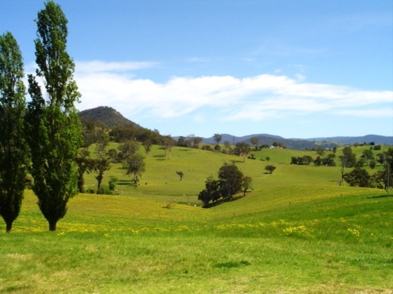 82 East Cochrans Road, Wolumla NSW 2550