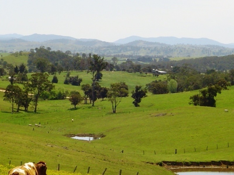82 East Cochrans Road, Wolumla NSW 2550