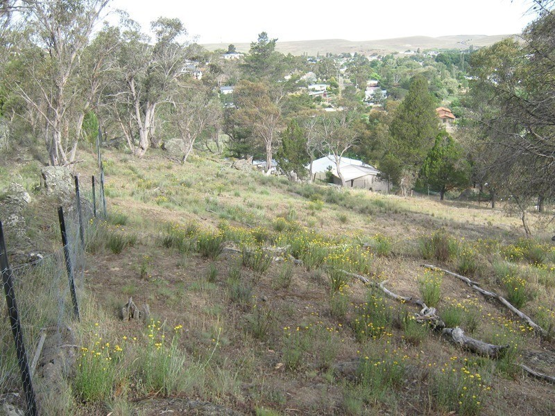 37 Mulach Street, Cooma NSW 2630