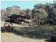 103 Bobeyan Road, Shannons Flat NSW 2630