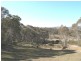 103 Bobeyan Road, Shannons Flat NSW 2630