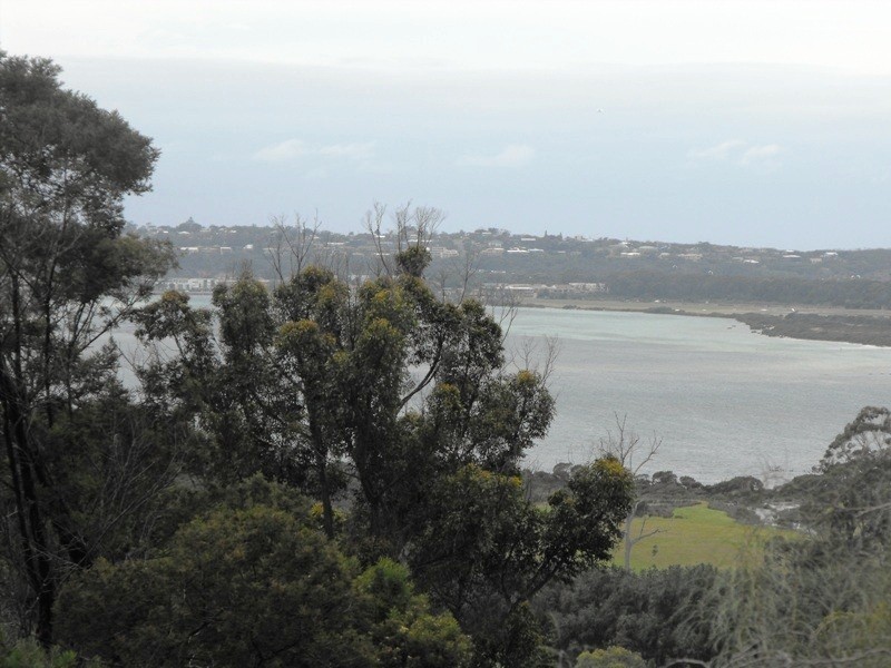 75 Stringybark Place, Millingandi NSW 2549