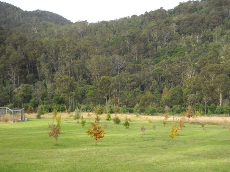 2903  Mt Darragh Road, Wyndham NSW 2550