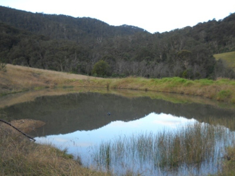 2903  Mt Darragh Road, Wyndham NSW 2550